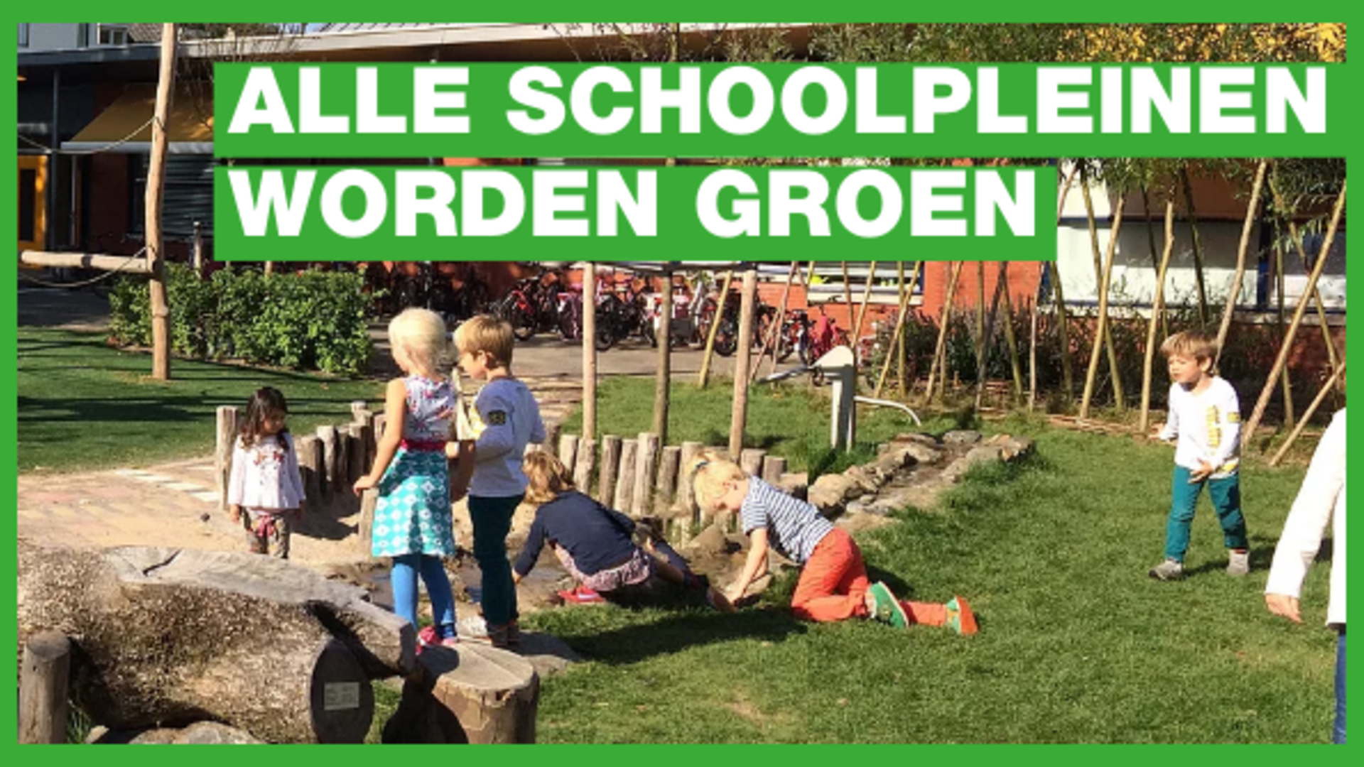 Alle schoolpleinen groen